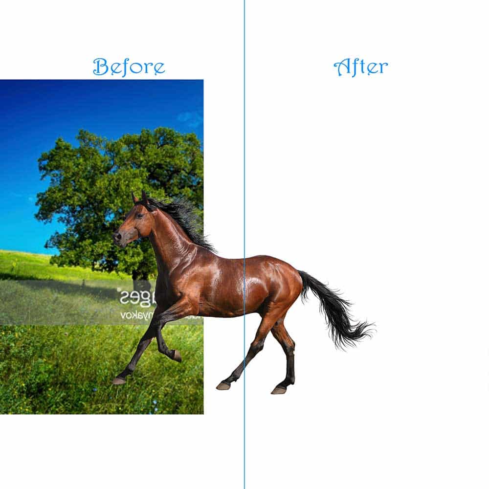 clipping path service