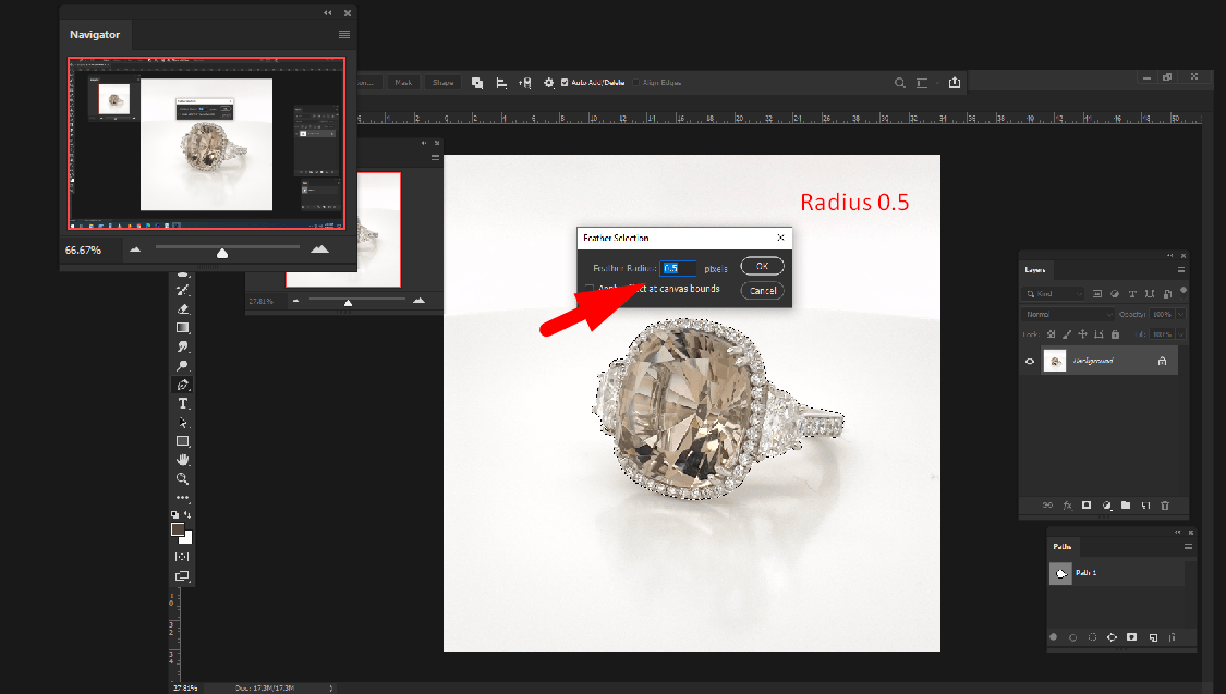 How to Use The Quick Selection Tool to Remove Background?